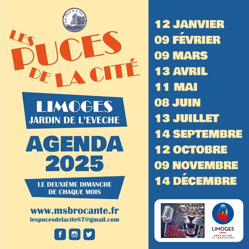 Les puces de la cité