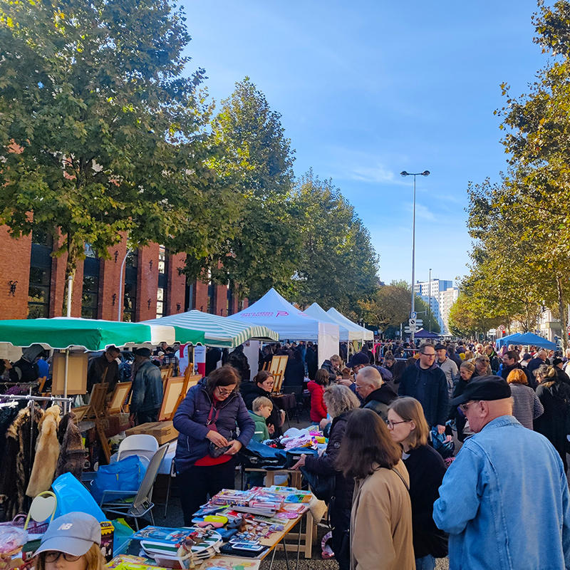 Vide-greniers du conseil des XV