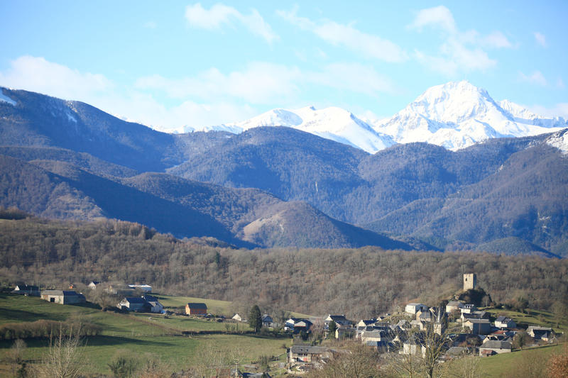 Vide-grenier du festival