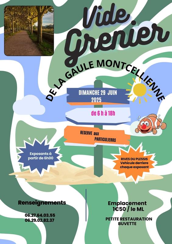 1 er vide grenier de la gaule montcellienne