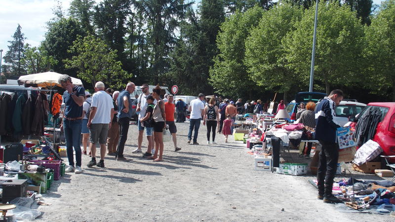 Puces marcellinoises