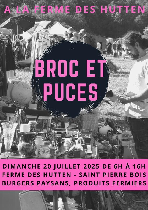 Broc et puces à la ferme des hutten