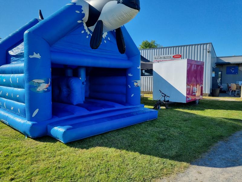 Brocante de esm football