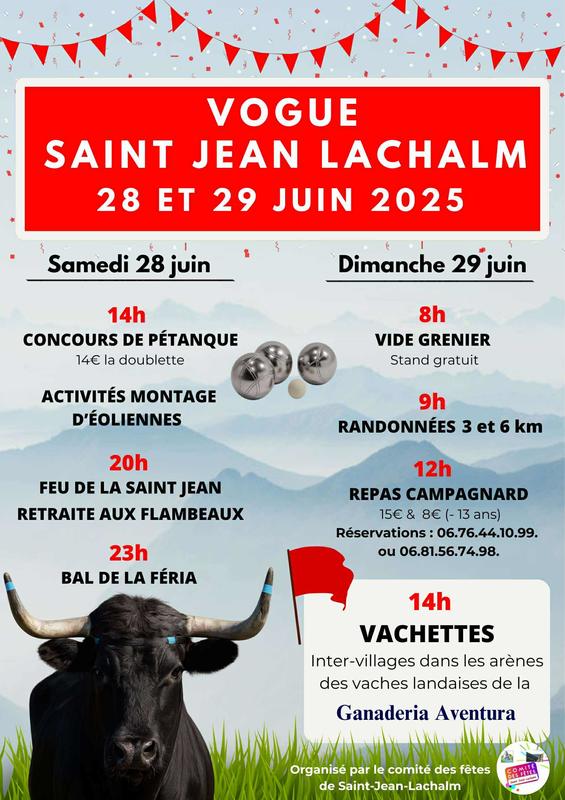 Vide grenier de la vogue