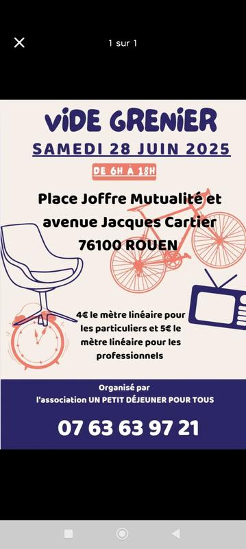 Foire à tout, vide-grenier, foire aux livres , foire aux jouets