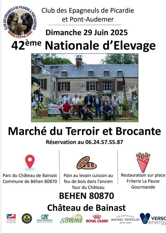 Brocante - marché du terroir