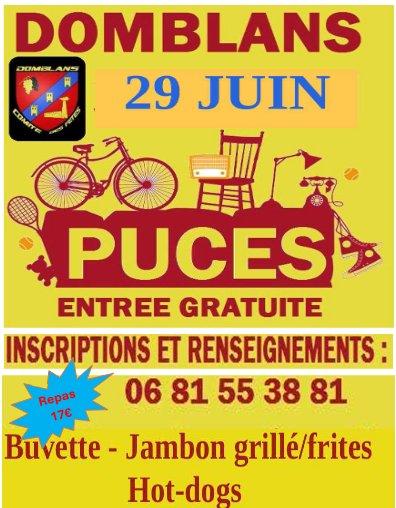 Puces du comité des fêtes